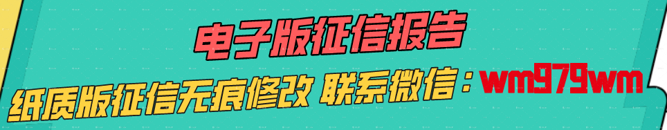 个人征信报告pdf无痕修改--微信：wm979wm