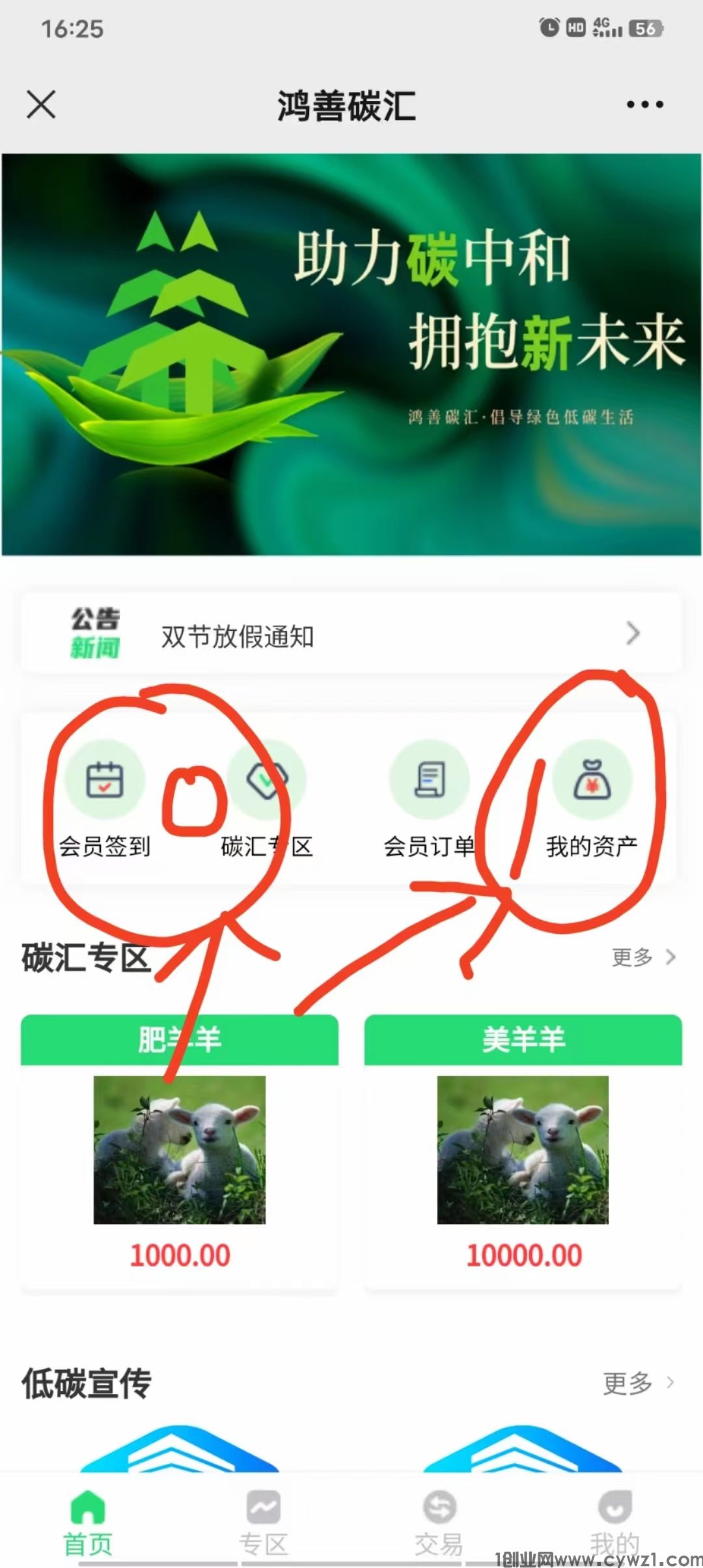  首码鸿善碳汇零 撸，目前一个202