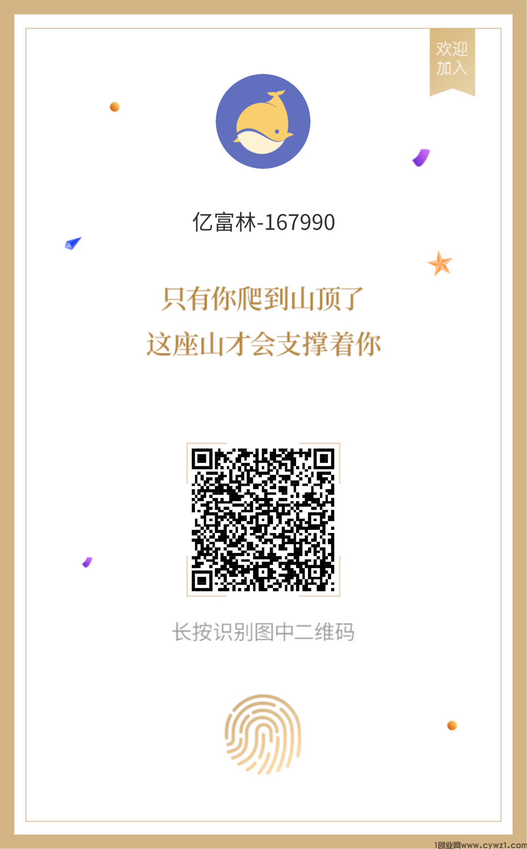 首码-亿富林，多米模式