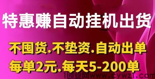 特优惠挂机商城，自动赚钱每一单2米