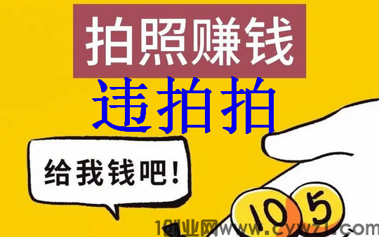 成都违拍拍怎么赚钱的?拍照赚钱哪个靠谱