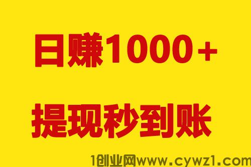 提供全自动手机电脑运营项目,可多开窗口,单窗口日收益50-65