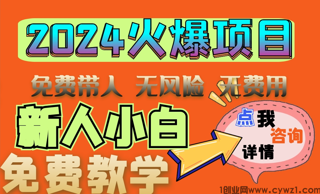 2024火爆网络项目   日入1000+