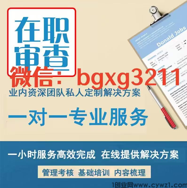 个人征信报告PDF无痕修改的准确性和合规性