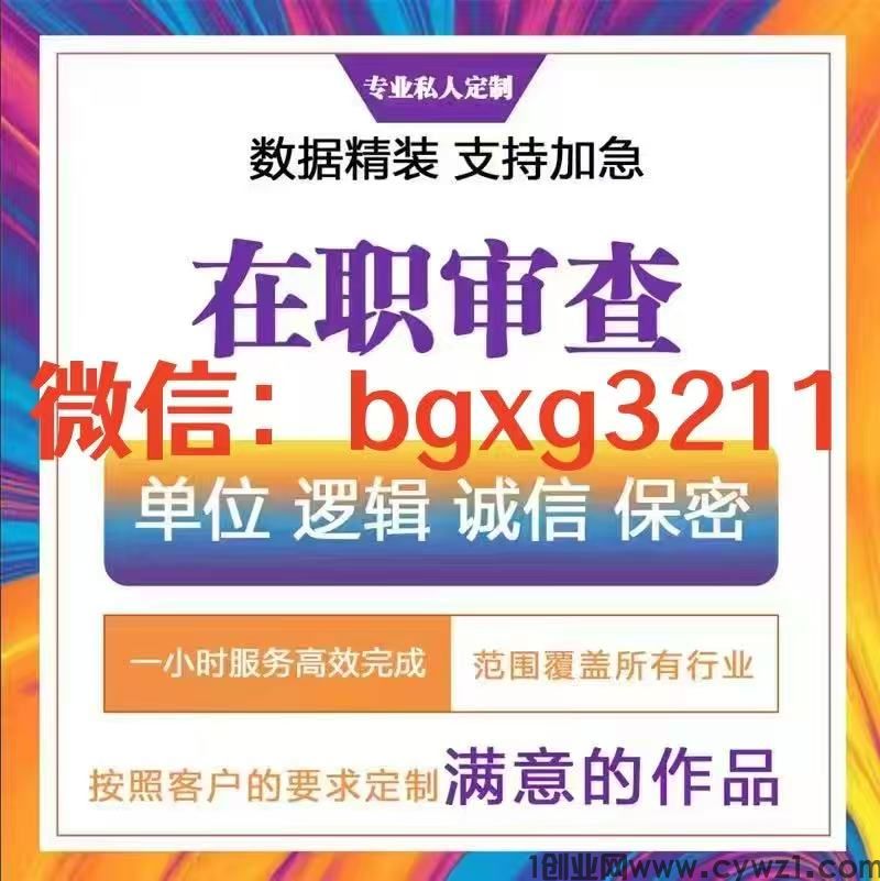 纸质征信报告无痕修改PDF电子版入职使用