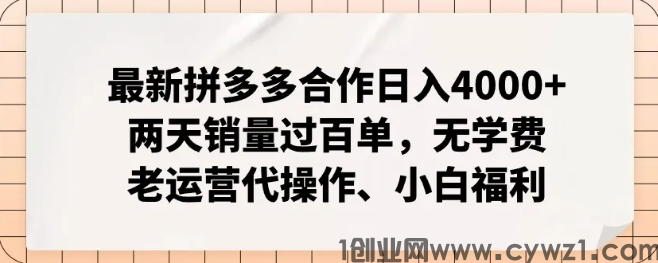 开店两天销量暴增玩法日入4000+，拼多多合作运营项目，当个甩手掌柜