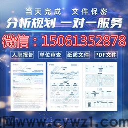 纸质征信报告重新排版制做页面优化导航