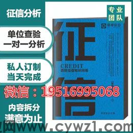 征信报告无痕修改电子PDF简版怎么调整文档页面