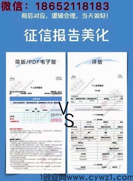 哪里可以修改电子版，纸质版征信报告且无痕操作？什么样的征信可以入职？