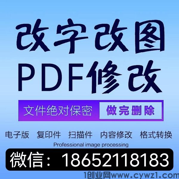 征信不好应对措施/征信简版报告pdf修改