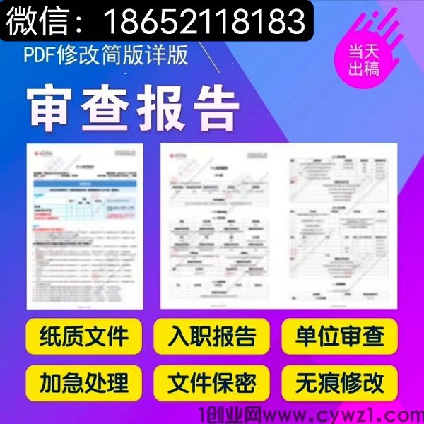 征信报告修改给家里看在线制作个人打印电子版无痕