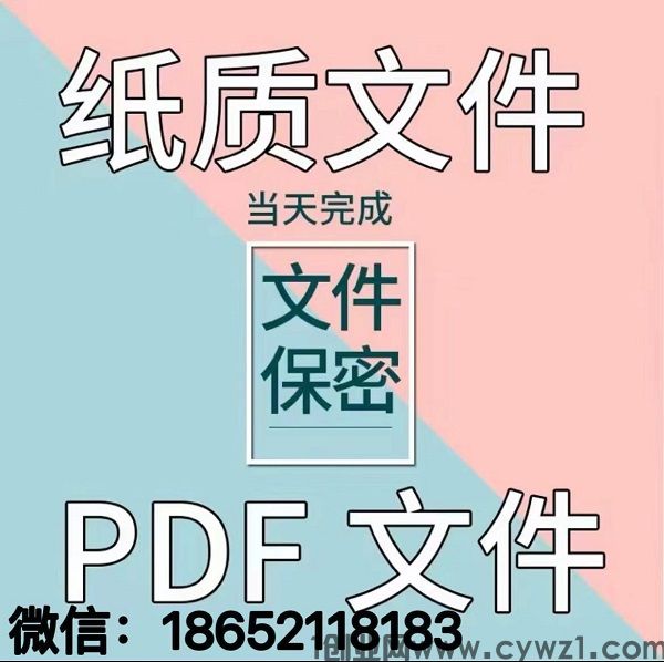 电子版征信报告PDF简版详版如何做到快速无痕修改-征信报告的真伪鉴别