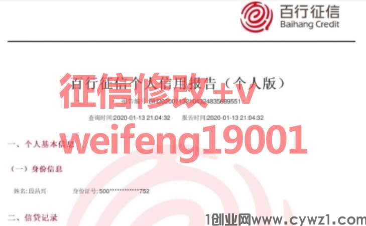 个人征信报告PDF无痕修改最快靠谱的方法有几种呢？