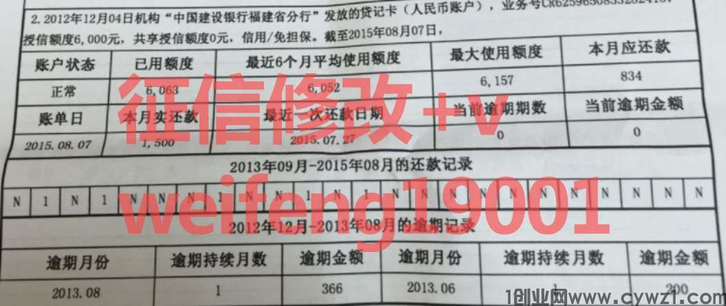 新纸质征信报告无痕修改软件进行美化大师解析