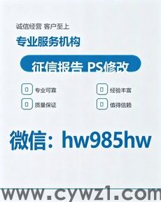 电子版个人征信PDF无痕修改，入职审核顺利通过