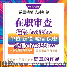 AI智能征信报告内容批量调整，助力入职顺利无忧