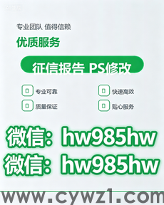 AI个人征信报告PDF电子版无痕修改教程：从导入到导出全程详解