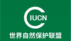 爱自然（IUCN自然联盟）2.0系统全新上线！全球首创！N种盈利模式！抢先一步领先一路！福利待遇拉满！巅峰零撸模式！零撸