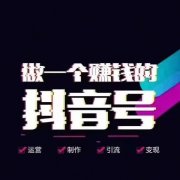 带你揭秘普通人是怎样利用抖音黑科技项目单月变现10W+！